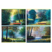 Альбом для рис. А4 40л на гребне "Природа как искусство"