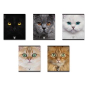 Тетрадь 96л. кл.  ErichKrause Cats, матовая ламинация