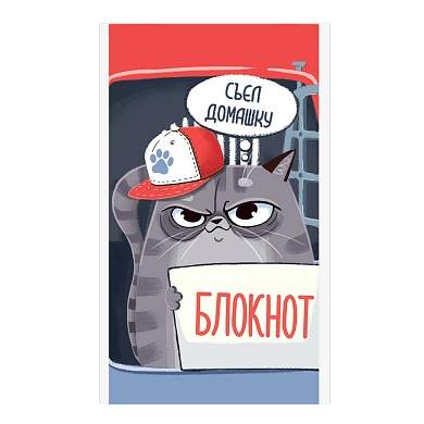 Блокнот А6 40л мягкий переплёт (1 скоба) Феникс+ "КОТ НАРУШИТЕЛЬ", клетка